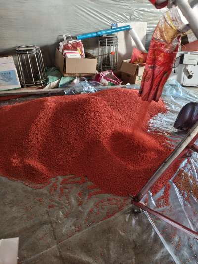 四冠包衣拌种，防虫防病壮苗增产。