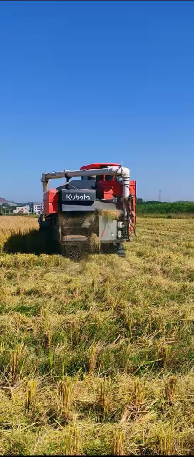 惠州基地，无人拖拉机收水稻了。