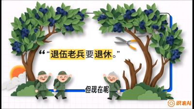 第7节：修剪决定产量（下）&mdash;&mdash;结果树的更新与疏果，课程：《蓝莓&ldquo;高产&rdquo;实战课：从选苗到丰收的10个关键点》