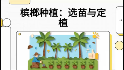 第01节：选苗与定植&mdash;&mdash;&ldquo;苗好一半收，底肥定千秋&rdquo;课程：《槟榔种植：从不懂到精通的10堂必修课》