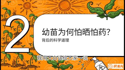 第02节：幼树管理&mdash;&mdash;&ldquo;防晒又防草，树势起得早&rdquo;，课程：《槟榔种植：从不懂到精通的10堂必修课》