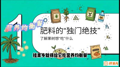 第07节：科学施肥&mdash;&mdash;&ldquo;氮磷钾配好，树壮果不倒