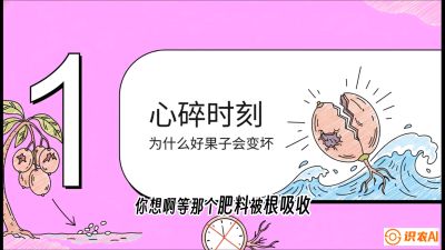 第08节：微量元素与保果&mdash;&mdash;&ldquo;补硼又补钙，果子不裂坏&rdquo;《槟榔种植：从不懂到精通的10堂必修课》