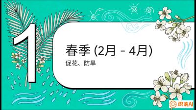 第10节：周年农事日历&mdash;&mdash;&ldquo;跟着节气走，丰产在手头&rdquo;《槟榔种植：从不懂到精通的10堂必修课》
