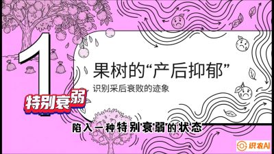 第2节：【冬肥策略】采后&ldquo;月子肥&rdquo;：大小年的精准干预术，课程：《柑橘底肥&ldquo;翻身账&rdquo;：从改土到高产的实战全书》