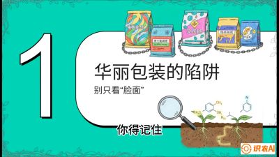 第4节：【黄金配方】底肥里的&ldquo;铁三角&rdquo;与&ldquo;微量雷区&rdquo;课程：《柑橘底肥&ldquo;翻身账&rdquo;：从改土到高产的实战全书》