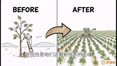 第02节：把树变成草&mdash;&mdash;&ldquo;草本化密植&rdquo;技术，课程：《桑海淘金：桑树高产与蚕桑安全进阶实战课》