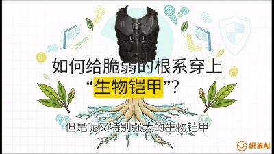 第三节：国产榴莲突围战：根系堡垒，菌根微生态构建与黄金定植窗口，课程：《国产榴莲突围战：从泰国经验到中国实操的8堂必修课（高阶实战版）》