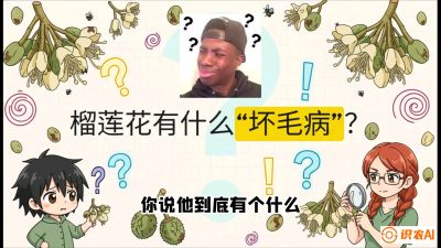 第六节：榴莲的午夜战事，夜间授粉战与花果期避雨策略，课程：《国产榴莲突围战：从泰国经验到中国实操的8堂必修课（高阶实战版）》