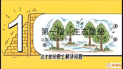 第七节：榴莲防御战：病虫害三级立体防控，疫霉菌与虫害的立体封锁线，课程：《国产榴莲突围战：从泰国经验到中国实操的8堂必修课（高阶实战版）》