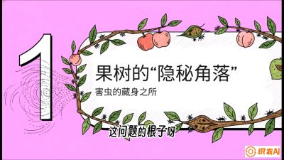 第3节：无人机专治&ldquo;打不透&rdquo;&mdash;&mdash;果树与高杆作物的穿透技巧，课程：《无人机植保搞钱必修课：从&ldquo;瞎飞&rdquo;到&ldquo;懂行&rdquo;的6步进阶》