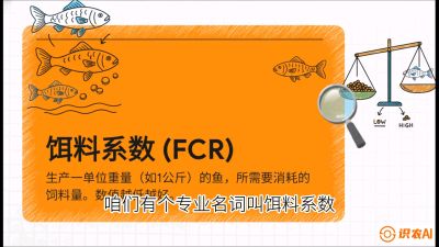 第五节：【高端单品&middot;鳜鱼】&ldquo;饲料鳜&rdquo;技术：打破吃活饵的高成本魔咒，课程：《黄金鳞甲：2025中国淡水鱼高效养殖实战营》