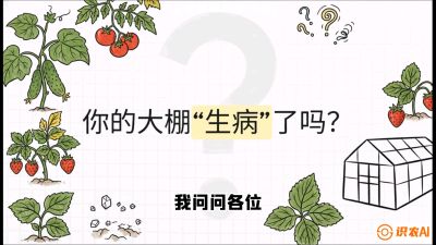 第2节（解毒篇）： 大棚里的&ldquo;红白绿&rdquo;警报&mdash;&mdash;读懂土壤盐渍化的求救信号，课程：《揭秘土壤的秘密：让土地帮你赚钱》#识农AI