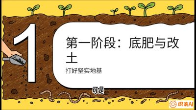 第6节（统筹篇）： 省钱又增产的&ldquo;黄金配比&rdquo;&mdash;&mdash;不同作物全年的养土实操方案，课程：《揭秘土壤的秘密：让土地帮你赚钱》#识农AI