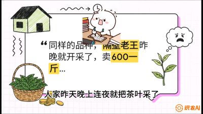 第01节（抢早篇）：与老天爷抢饭吃：如何利用&ldquo;温差阈值&rdquo;让头采茶提前5天上市？，课程：《茶金时代：从&ldquo;看天吃饭&rdquo;到&ldquo;精准控局&rdquo;的茶叶高产提质实战课》