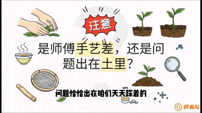 第02节（土肥篇）：告别&ldquo;苦涩水味&rdquo;：揭秘&ldquo;碳氮比&rdquo;调控术，种出自带兰花香的好茶底，课程：《茶金时代：从&ldquo;看天吃饭&rdquo;到&ldquo;精准控局&rdquo;的茶叶高产提质实战课》