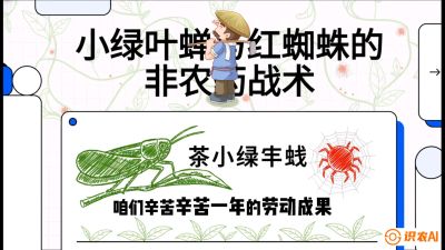 第03节（虫害篇）：看不见的吸血鬼：小绿叶蝉与红蜘蛛的&ldquo;非农药&rdquo;团灭战术（抗性治理），课程：《茶金时代：从&ldquo;看天吃饭&rdquo;到&ldquo;精准控局&rdquo;的茶叶高产提质实战课》