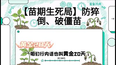 第2节：【苗期生死局】防猝倒、破僵苗，决定后期产量的&ldquo;黄金20天&rdquo;，课程：《辣椒种植实战特训营，从工业辣椒到精品小米辣，教你如何把&ldquo;草&rdquo;种成&ldquo;金&rdquo;》