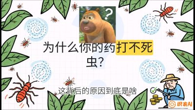 第4节：【虫害歼灭战】打不死的蓟马、隐形的茶黄螨：抗性时代的&ldquo;混配绝杀&rdquo;，课程：《辣椒种植实战特训营，从工业辣椒到精品小米辣，教你如何把&ldquo;草&rdquo;种成&ldquo;金&rdquo;》