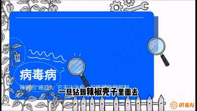 第5节：【病毒病阻击】辣椒的&ldquo;癌症&rdquo;怎么治？从&ldquo;绝收恐慌&rdquo;到&ldquo;带毒生产&rdquo;的逆转术，课程：《辣椒种植实战特训营，从工业辣椒到精品小米辣，教你如何把&ldquo;草&rdquo;种成&ldquo;金&rdquo;》