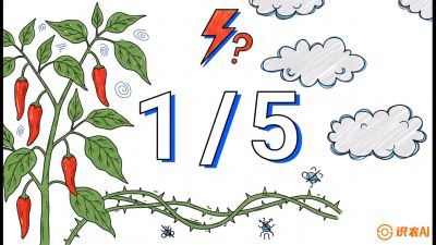 第6节：【花果爆发术】落花落果的五大元凶，与&ldquo;三喷一保&rdquo;坐果黑科技，课程：《辣椒种植实战特训营，从工业辣椒到精品小米辣，教你如何把&ldquo;草&rdquo;种成&ldquo;金&rdquo;》