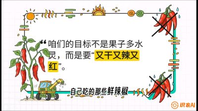 第7节：【工业辣椒专场】追求极致辣度！干物质提升与机械化采收的&ldquo;催红秘籍&rdquo;，课程：《辣椒种植实战特训营，从工业辣椒到精品小米辣，教你如何把&ldquo;草&rdquo;种成&ldquo;金&rdquo;》