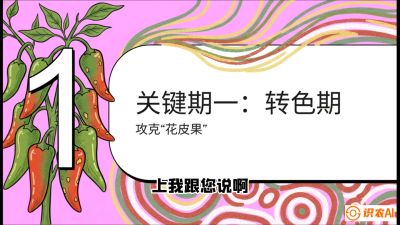 第8节：【小米辣线椒专场】颜值即正义！防花皮、防炭疽，打造收购商抢着要的&ldquo;精品果&rdquo;，课程：《辣椒种植实战特训营，从工业辣椒到精品小米辣，教你如何把&ldquo;草&rdquo;种成&ldquo;金&rdquo;》