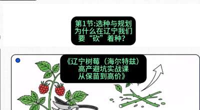 第一节： 选种与规划&mdash;&mdash;为什么在辽宁我们要&ldquo;砍&rdquo;着种？，课程：《辽宁树莓（海尔特兹）高产避坑实战课：从保苗到高价》