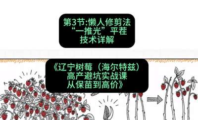 第三节： 懒人修剪法&mdash;&mdash;&ldquo;一推光&rdquo;平茬技术详解，课程：《辽宁树莓（海尔特兹）高产避坑实战课：从保苗到高价》