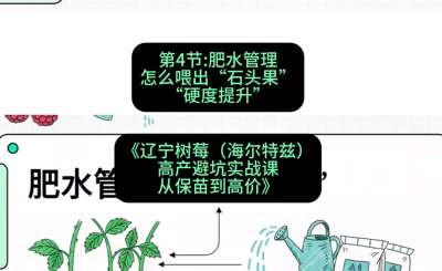 第四节： 肥水管理&mdash;&mdash;怎么喂出&ldquo;石头果&rdquo;（硬度提升），课程：《辽宁树莓（海尔特兹）高产避坑实战课：从保苗到高价》