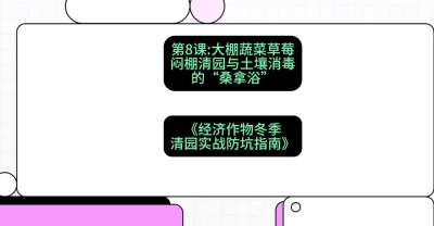 第8节：【大棚蔬菜草莓】闷棚清园与土壤消毒的&ldquo;桑拿浴&rdquo;，课程：《经济作物冬季清园&middot;实战防坑指南》#识农AI