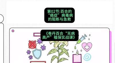 第02节：百合的&ldquo;癌症&rdquo;&mdash;&mdash;病毒病的阻断与急救，课程：《卷丹百合&ldquo;无病高产&rdquo;植保实战课》#识农AI