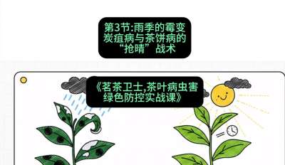 第03节：雨季的霉变&mdash;&mdash;炭疽病与茶饼病的&ldquo;抢晴&rdquo;战术，课程：《茗茶卫士&mdash;&mdash;茶叶病虫害绿色防控实战课》#识农AI