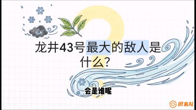 第04节：龙井双璧&mdash;&mdash;龙井43与群体种的差异化护养（重点），课程：《茗茶卫士&mdash;&mdash;茶叶病虫害绿色防控实战课》#识农AI