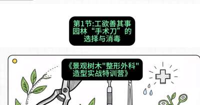 第01节：工欲善其事&mdash;&mdash;园林&ldquo;手术刀&rdquo;的选择与消毒，课程：《景观树木&ldquo;整形外科&rdquo;造型实战特训营》#识农AI