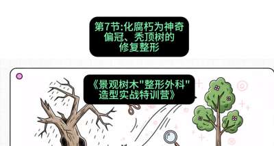 第07节：化腐朽为神奇&mdash;&mdash;偏冠、秃顶树的修复整形，课程：《景观树木&ldquo;整形外科&rdquo;造型实战特训营》#识农AI