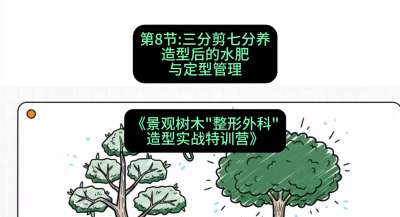 第08节：三分剪七分养&mdash;&mdash;造型后的水肥与定型管理，课程：《景观树木&ldquo;整形外科&rdquo;造型实战特训营》#识农AI